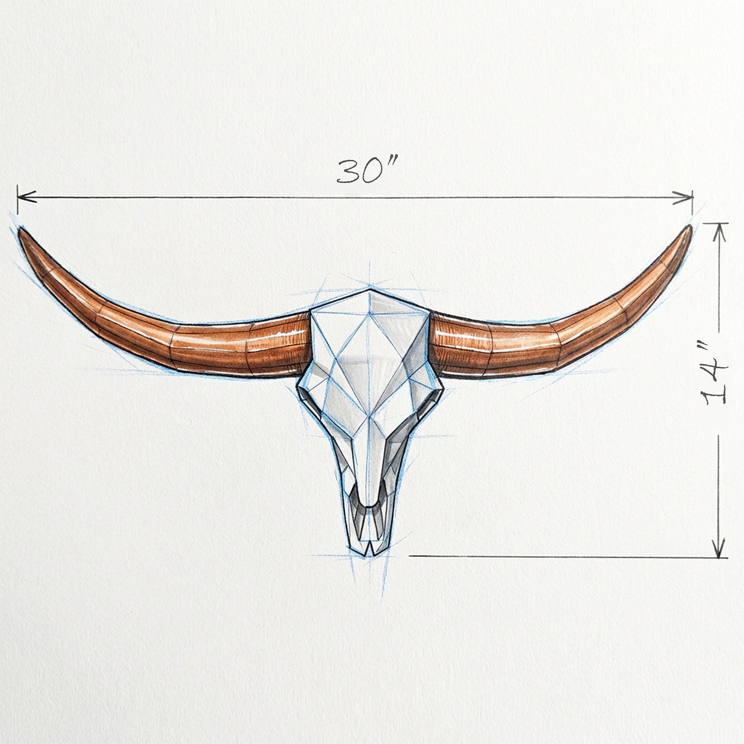 Low Poly Steer Horns and Skull